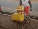 lady wheelbarrow