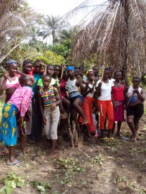 planting rice sierra leone