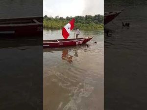flags twinned