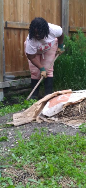 clean up