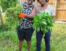 farming in winnipeg