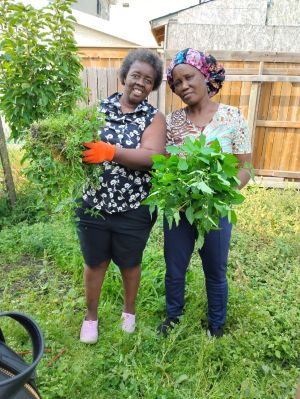 farming in winnipeg