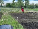 farming2