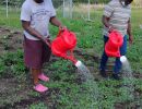 farming214