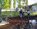 farming3