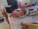 img 20220102 wa0001