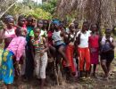 planting rice sierra leone